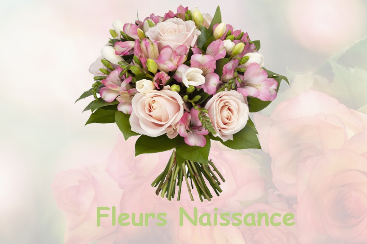 fleurs naissance SAINT-GERVAIS-LES-TROIS-CLOCHERS